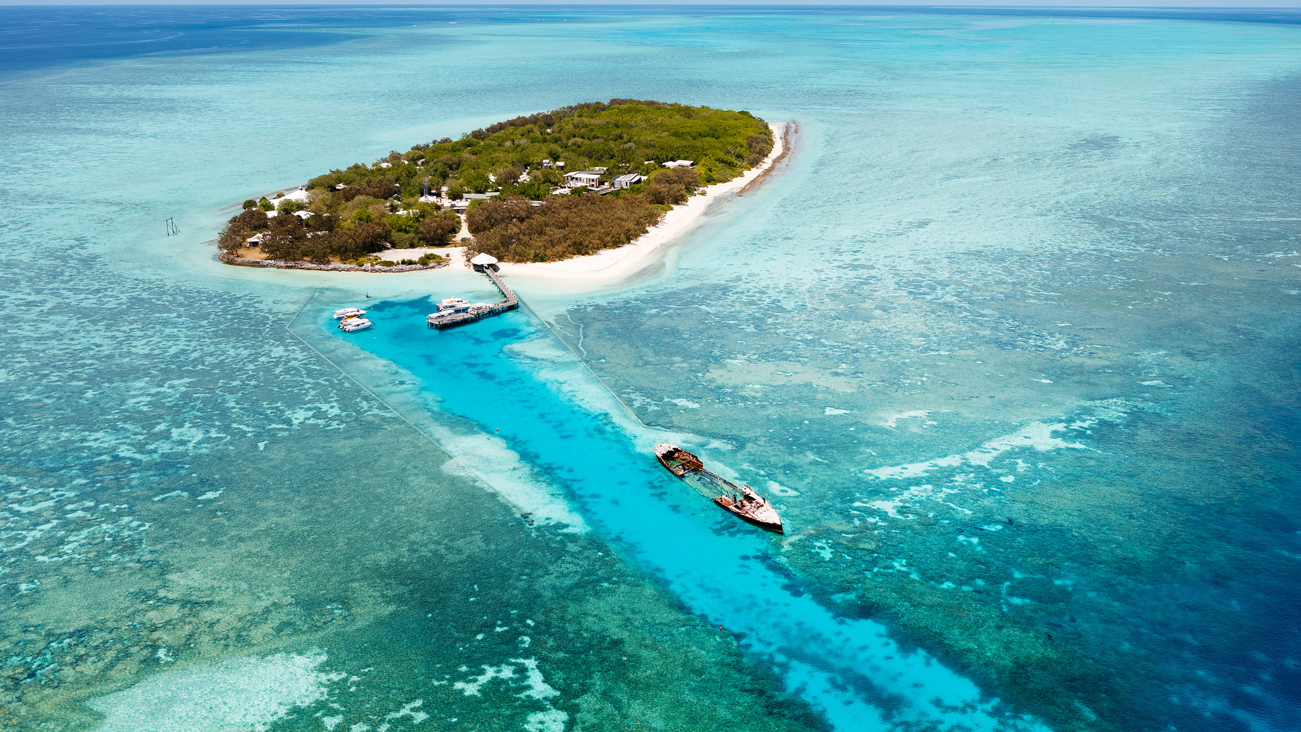 heron island tours